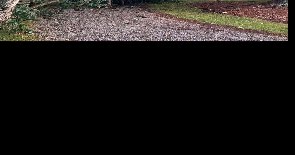 Storm caused widespread damage in Asheboro