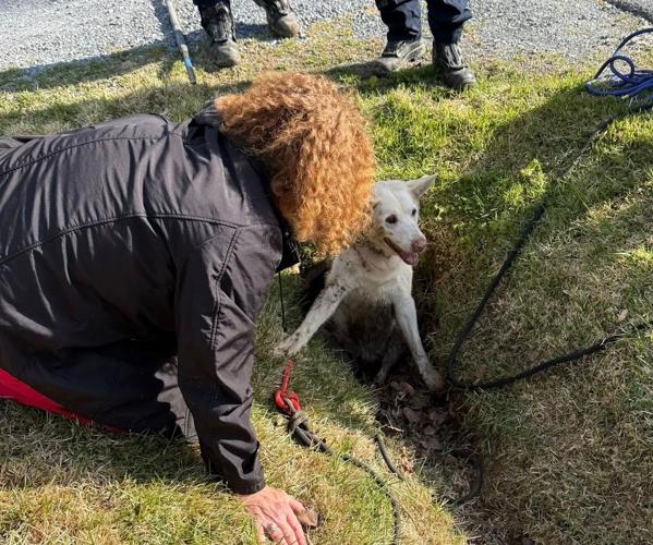 Firefighters save dog stuck in pipe | Local News | courier-tribune.com
