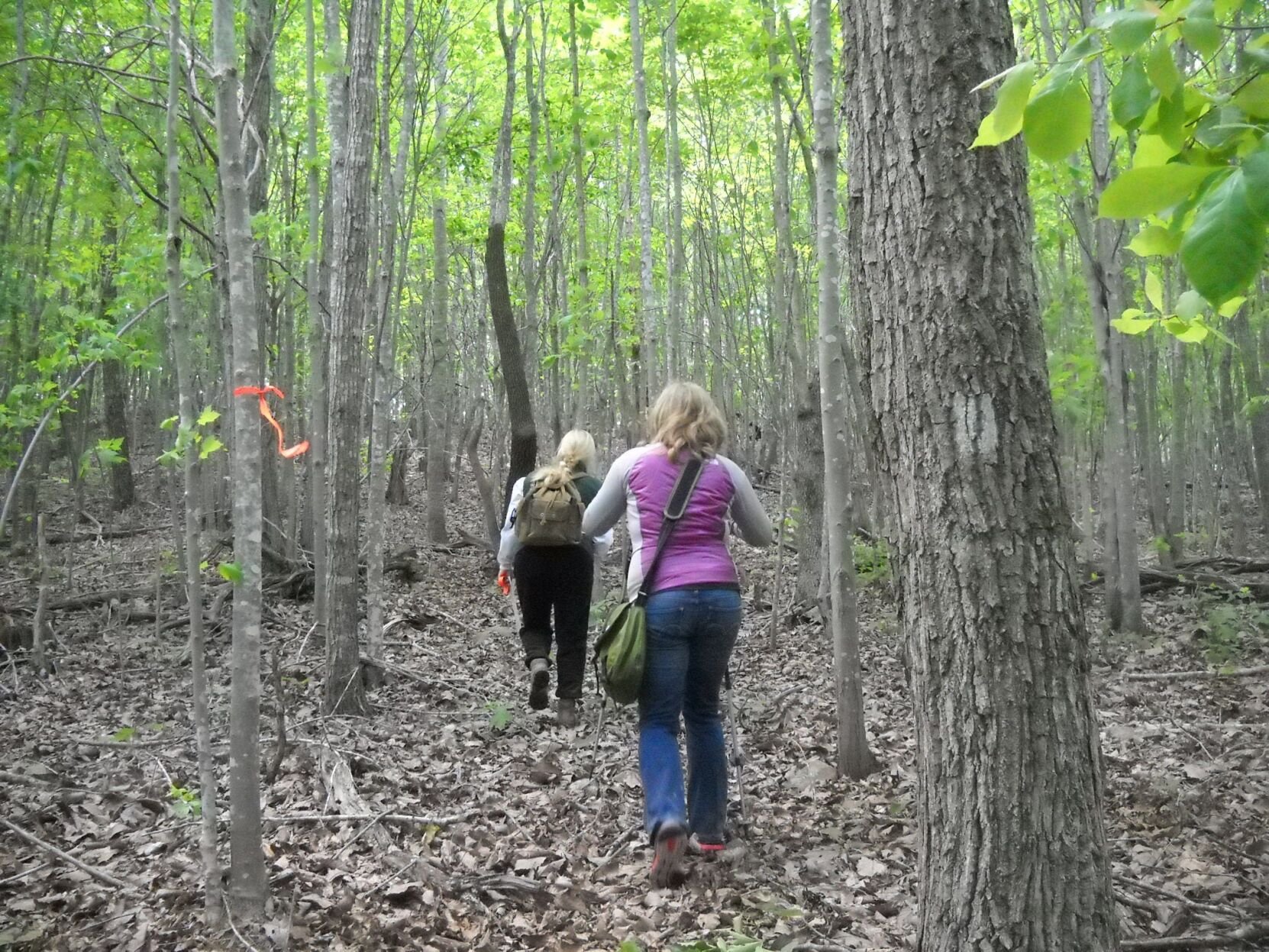 The beauty of the outdoors Uwharrie trailblazer shares camping