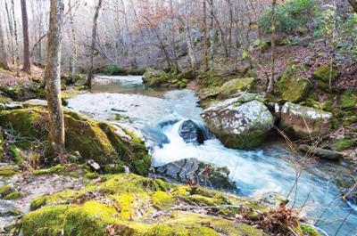 Land Trust Receives Cane Creek Canyon