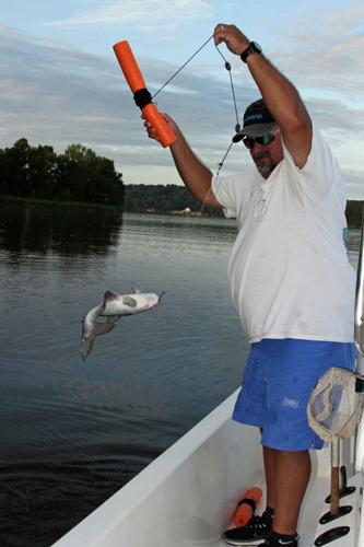 Jug Fishing Producing Plenty of Alabama River Catfish, Online Only