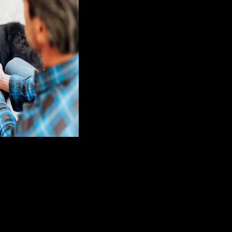 Pet Talk - Purr-fect Comfort: Managing Pain in Aging Pets
