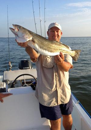 Another Gator Makes Headlines Gator Trout Courier