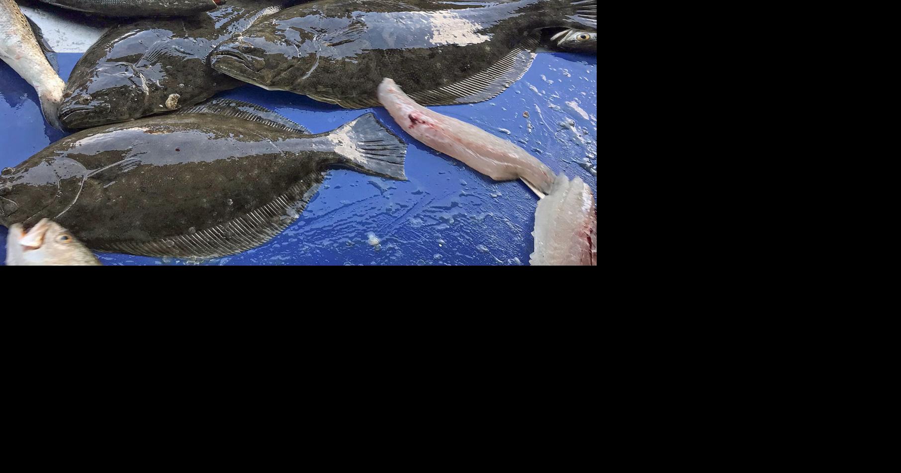 Research on Inshore Species Yields Interesting Revelations | Online ...
