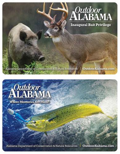 Alabama Collectible License Cards