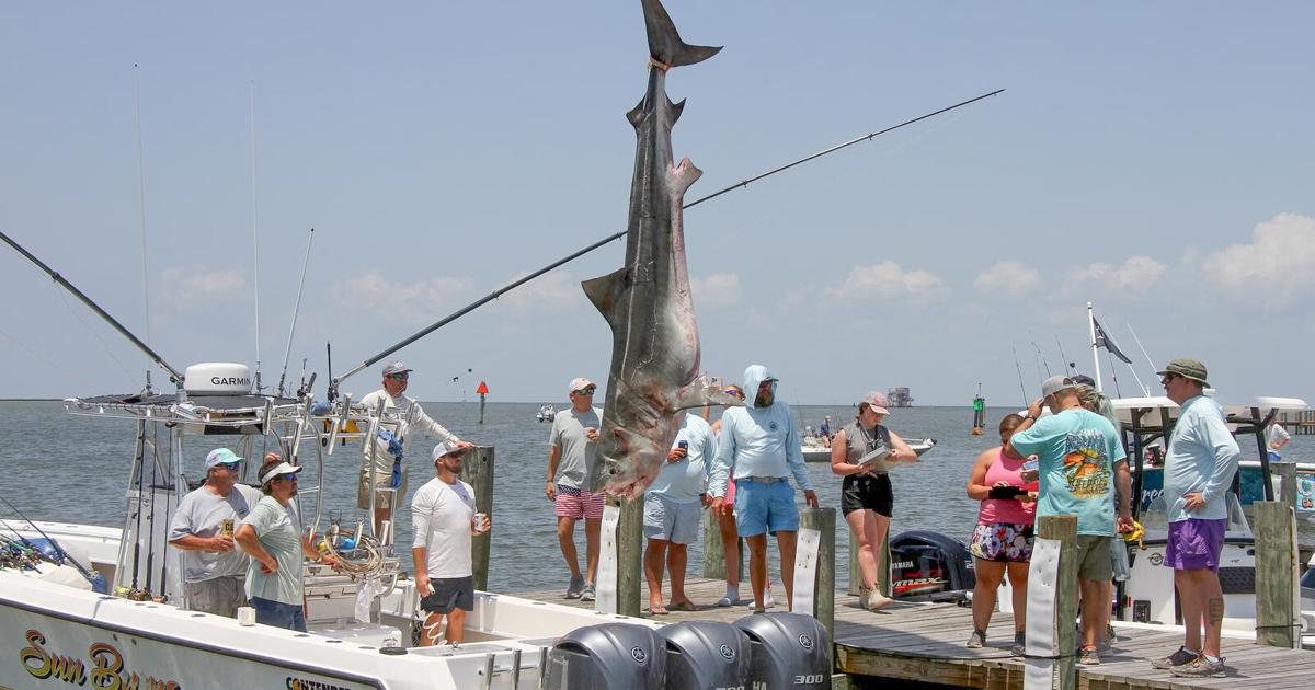 Abundant Anglers, Crowds and Fish Expected at 92nd ADSFR