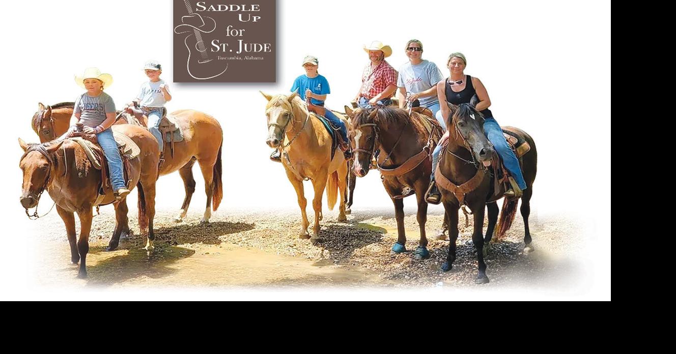 Horses & Harmony