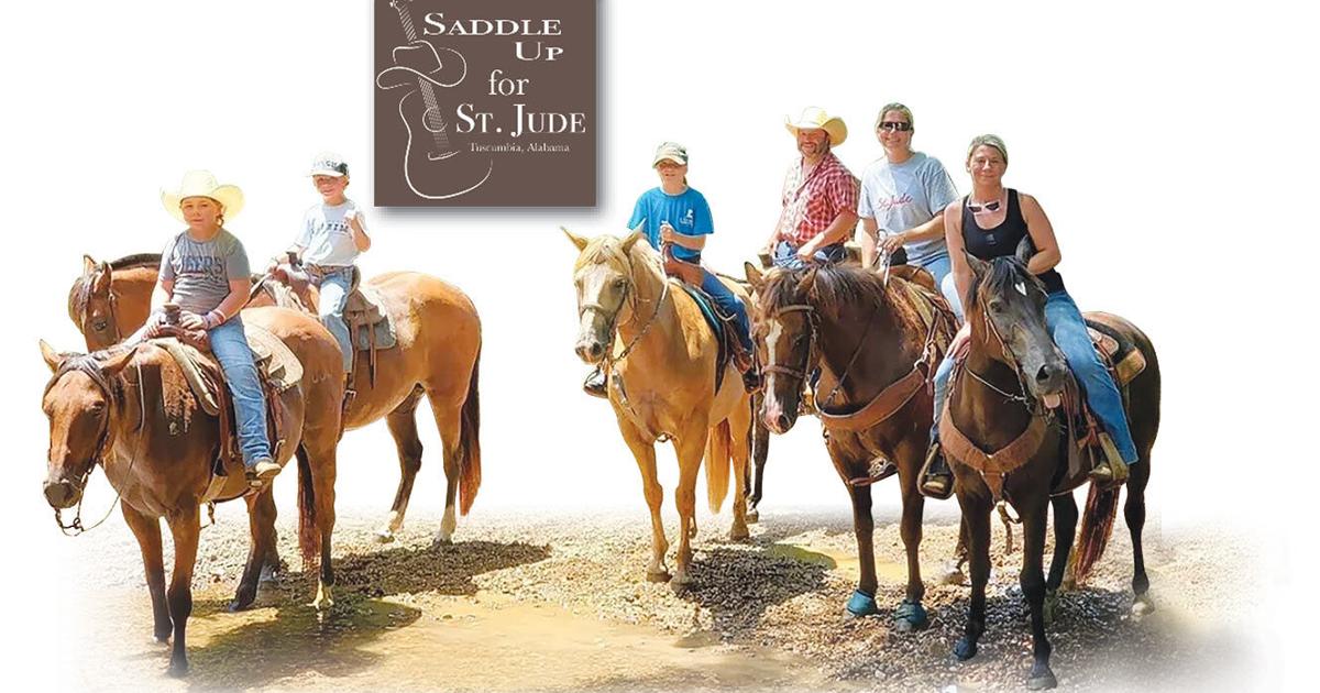 Horses & Harmony