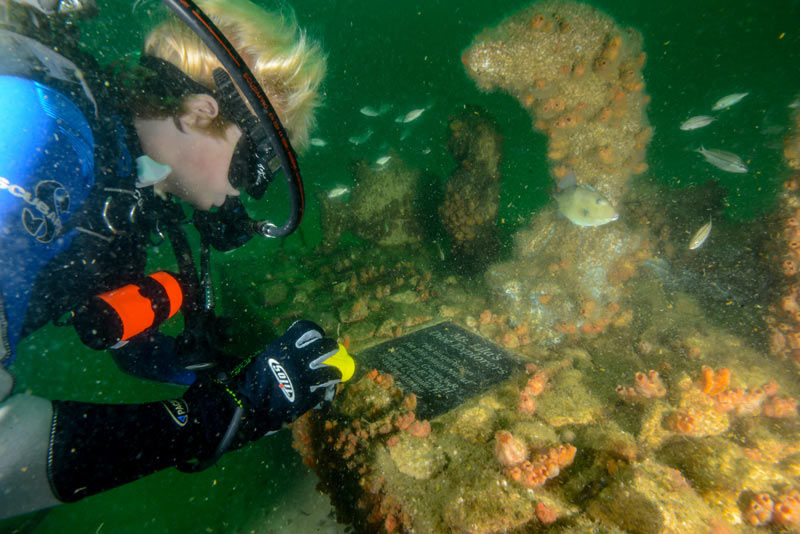 Poseidon's Playground Adds to Alabama's Diving Opportunities Online