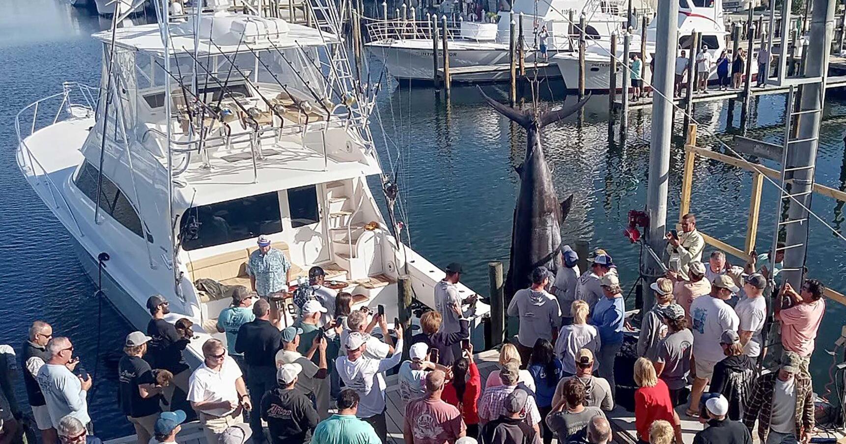 Alabama Saltwater Records Continue to Fall - Vimarsana News