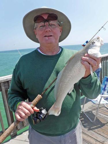 Gulf State Park Pier Offers Fishing Fun, Education, Online Only