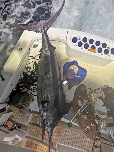 Orange Beach Boat Lands Potential Record Blue Marlin, Online Only