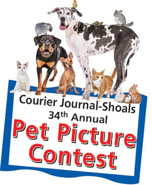 Pet Picture Contest