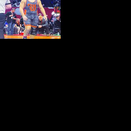 Area athletes compete at IHSA Illinois Wrestling State Championships ...