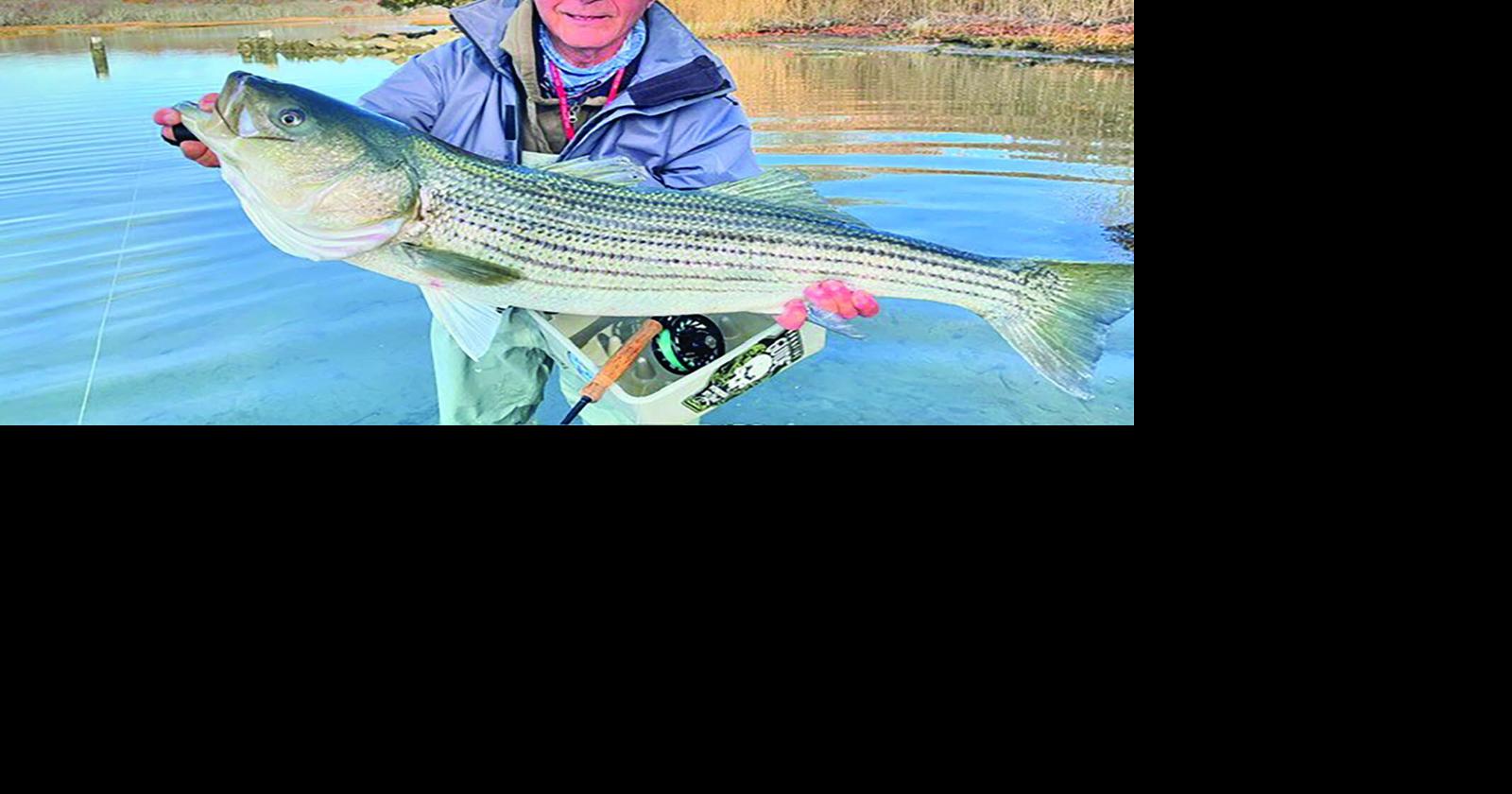 Waterways stocked for winter fishing