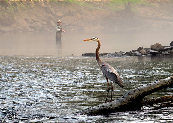 ENJOYING NATURE: There's a lot to learn about fly fishing, Glade Sun