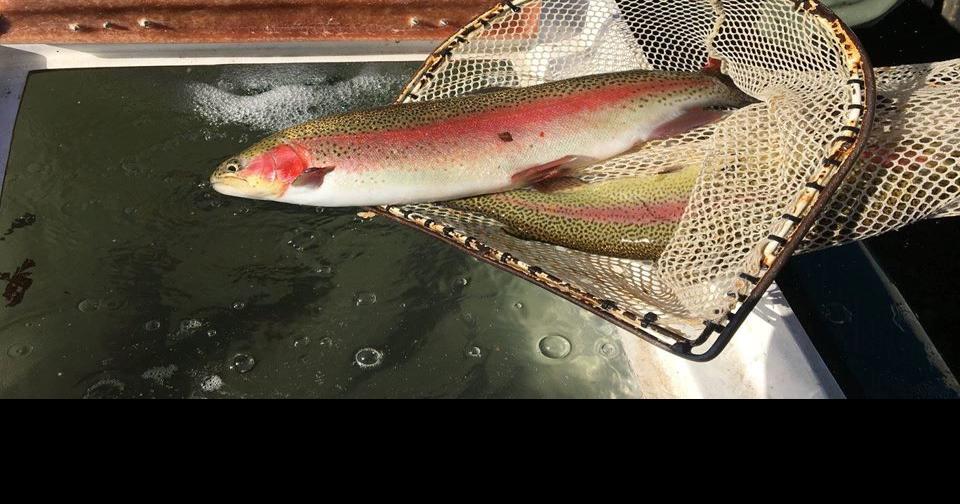 Changes to delayed harvest and fall trout stocking schedule Local
