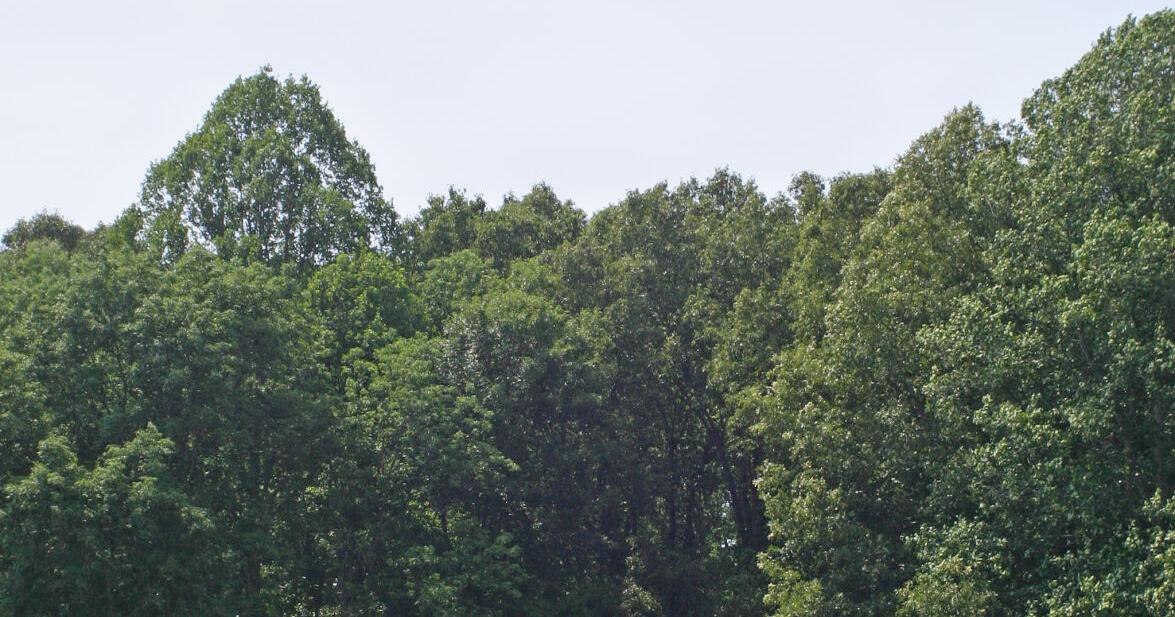 Museum of Appalachia launching anvils sky-high for Fourth of July ...