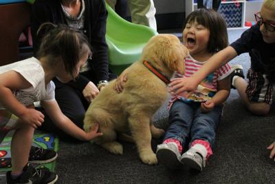 New therapy dog will help Cherokee Nation foster kids cope ...