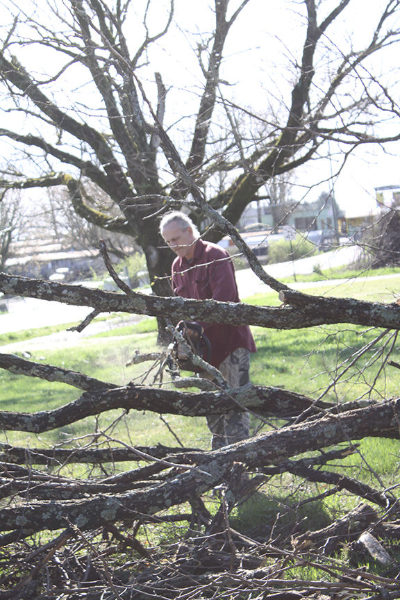 Storm causes damages, power outages Local News