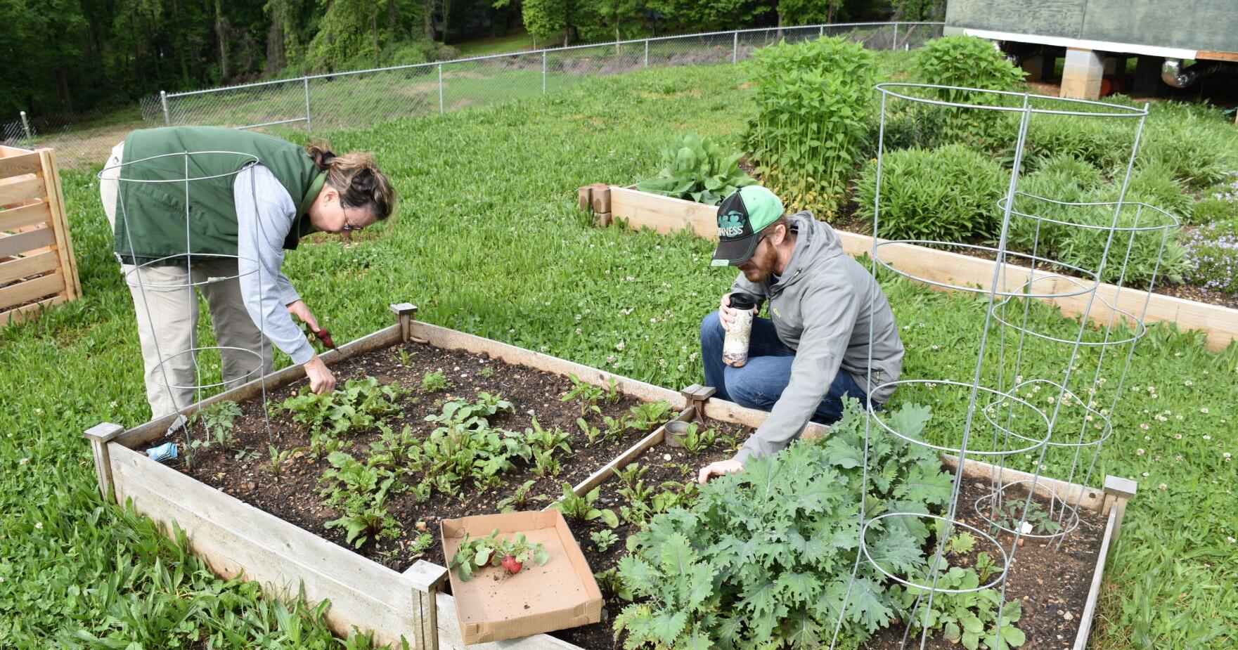 Manhattan Project National Historical Park to host Open Gardens exploring the WWII Homefront on June 1 - Vimarsana News