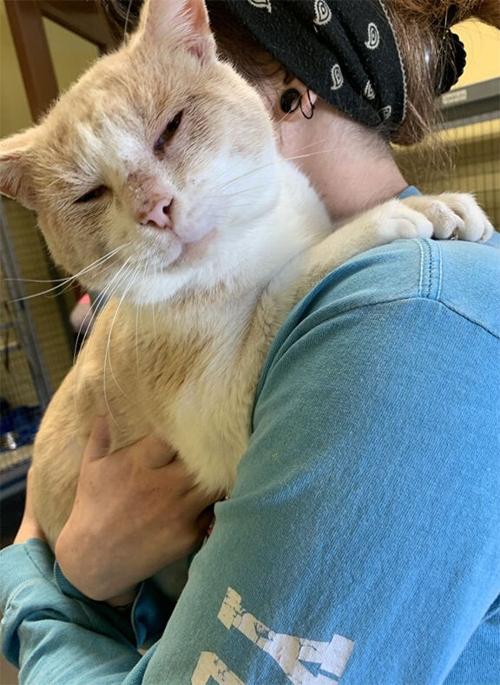 Pet of the Week: Simba