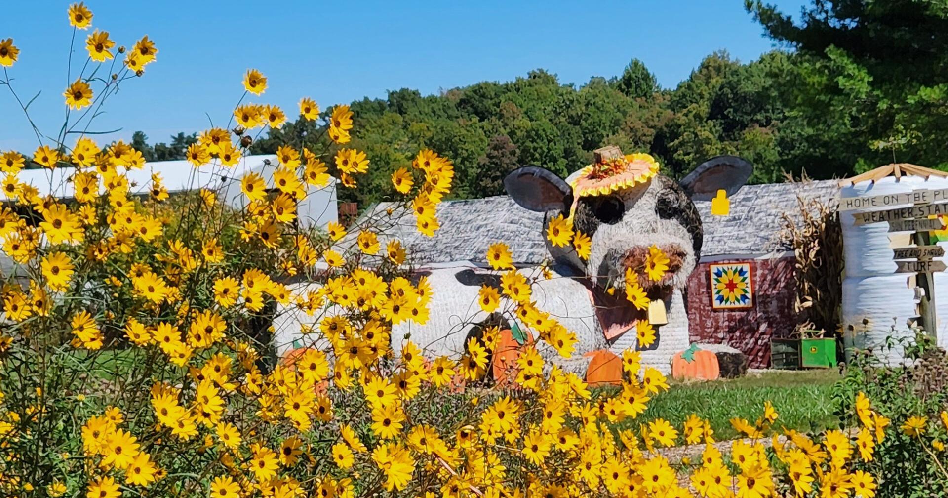 Bigger, better Fall Gardeners' Festival planned for Aug. 29 | Lifestyles - Vimarsana News