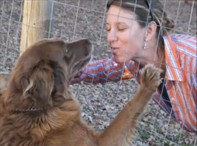 Time 4 Paws working toward low-cost spay, neuter clinic ...