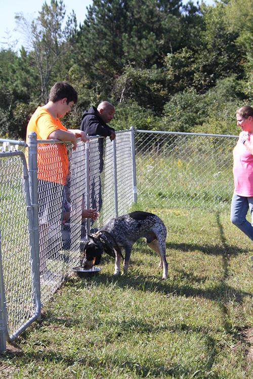 Clearing the Shelter