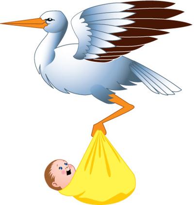 stork