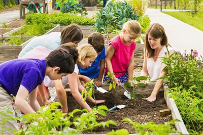 Fg Garden Club Scholarships Awarded Lifestyles Crossville Chronicle Com