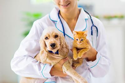 Annual Rabies Clinic Set For Saturday Crossville Chronicle Com