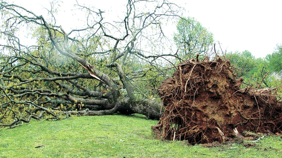 PHOTO GALLERY: Storms rips through county | Local News | crossville ...