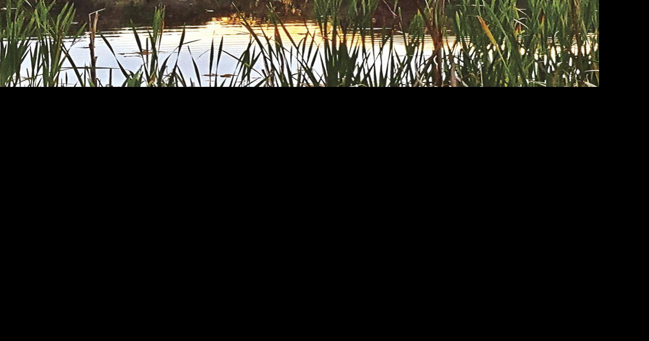 Autumn’s last gasp Glade Sun