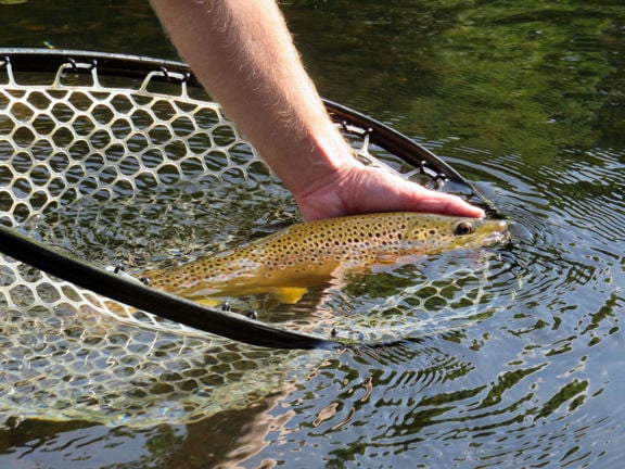 ENJOYING NATURE: There's a lot to learn about fly fishing, Glade Sun