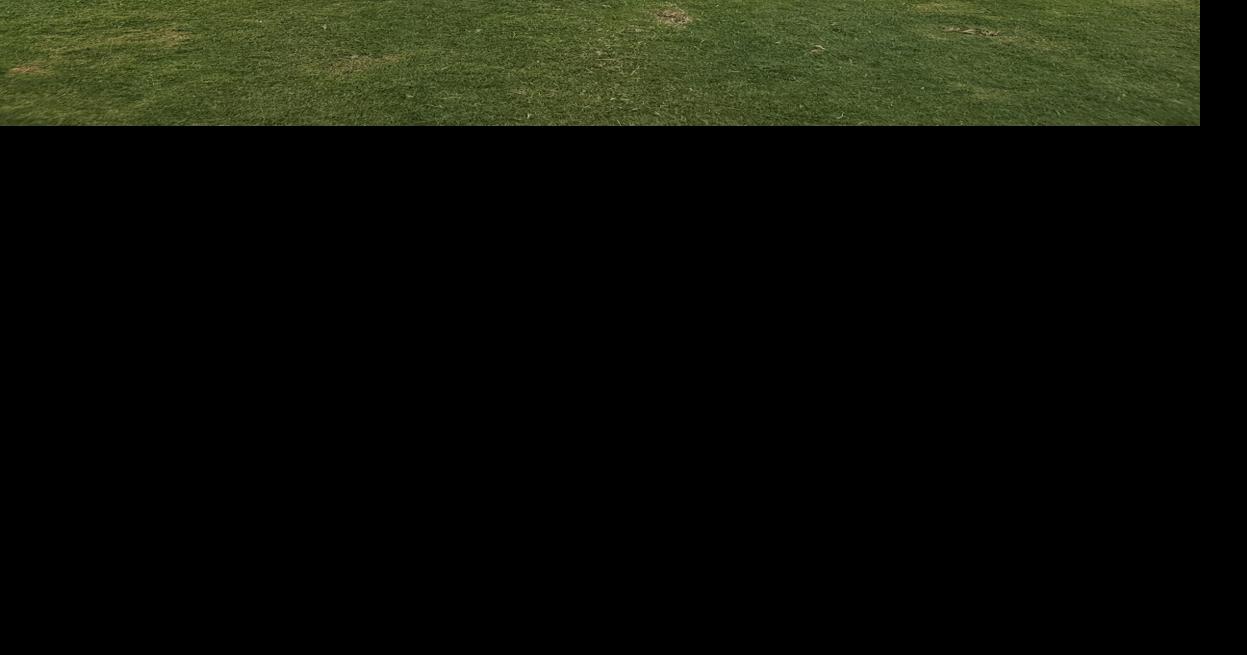 Local foursome preparing for state golf tourney
