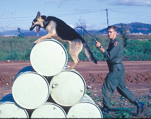 News, Vietnam Military Police Sentry Dog Alumni