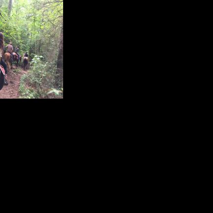 Cannons put Wildwood Stables up for sale Glade Sun crossville