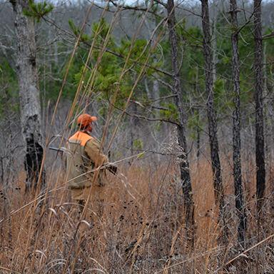 1,740 acres added to Catoosa - Vimarsana News