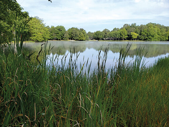 20200919_090752.jpg