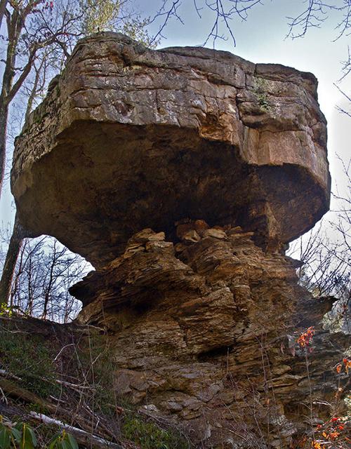 Tta Chapter Plans Upcoming Hikes Lifestyles Crossville Chronicle Com