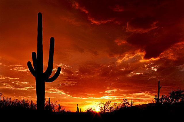 Arizona.jpg