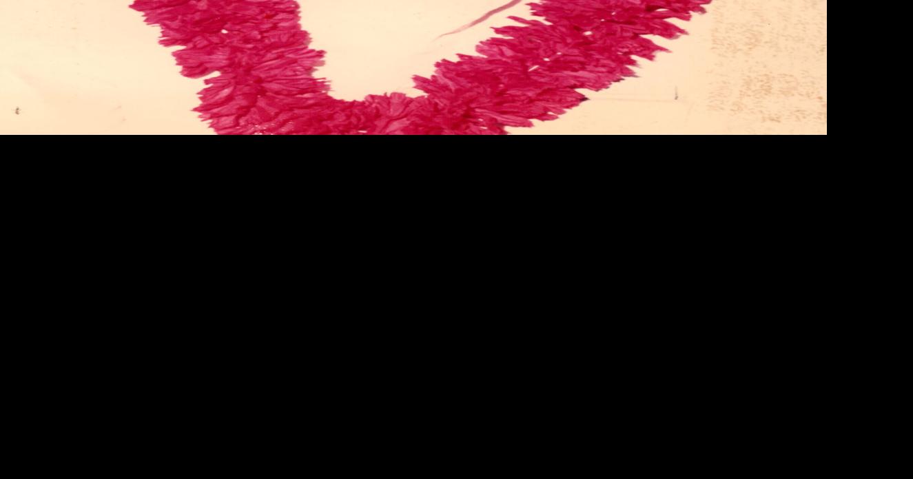 Barry Leavitt Obituaries