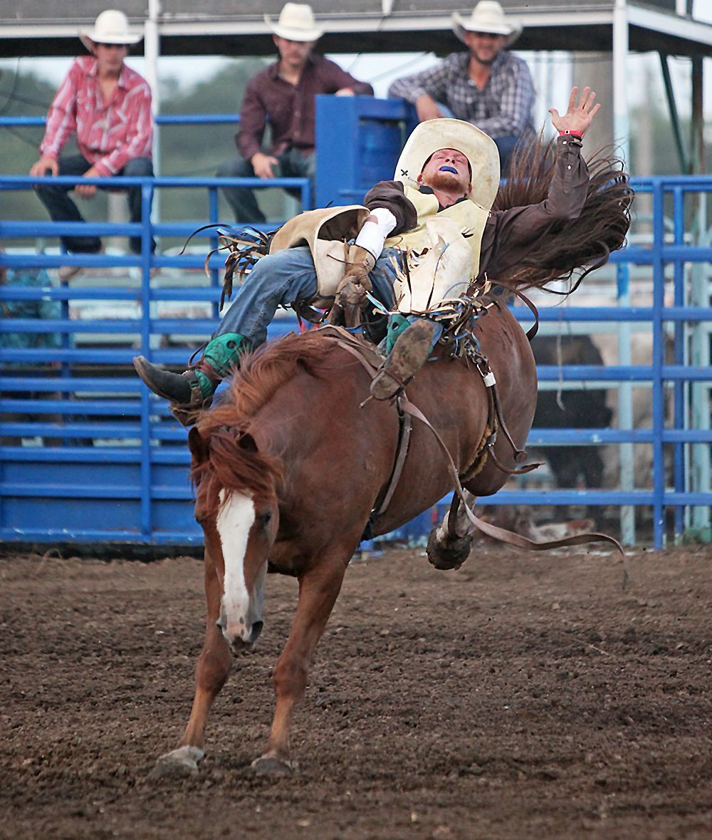 Cowley County Fair - Freestyle Bullfighting, Wild Cow Milking and Rodeo ...