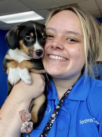 Ark City animal control job finally filled | News | ctnewsonline.com