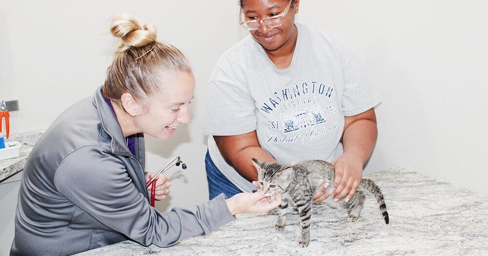 Vetting the Vet