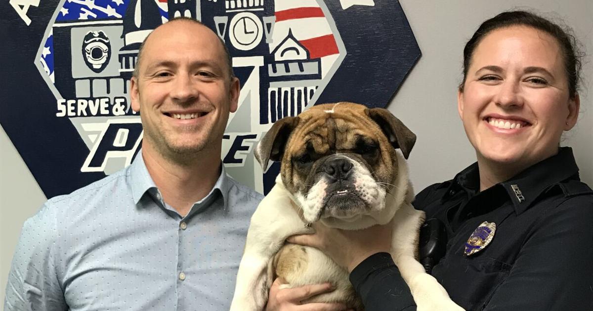 ACPD brings in new K-9 officer | News | ctnewsonline.com
