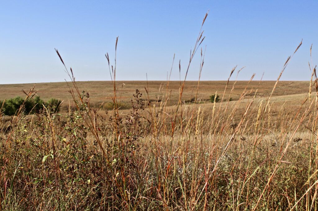 Proposed grasslands act would protect Kansas’ precious prairies