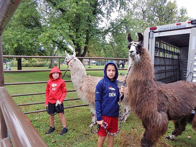 Winfield art show produced winners News