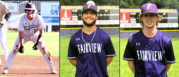 2018 ALL-COUNTY BASEBALL TEAM: West Point's McDonald selected Player of the  Year; Legg, Schnittker, Ward also recognized, Sports